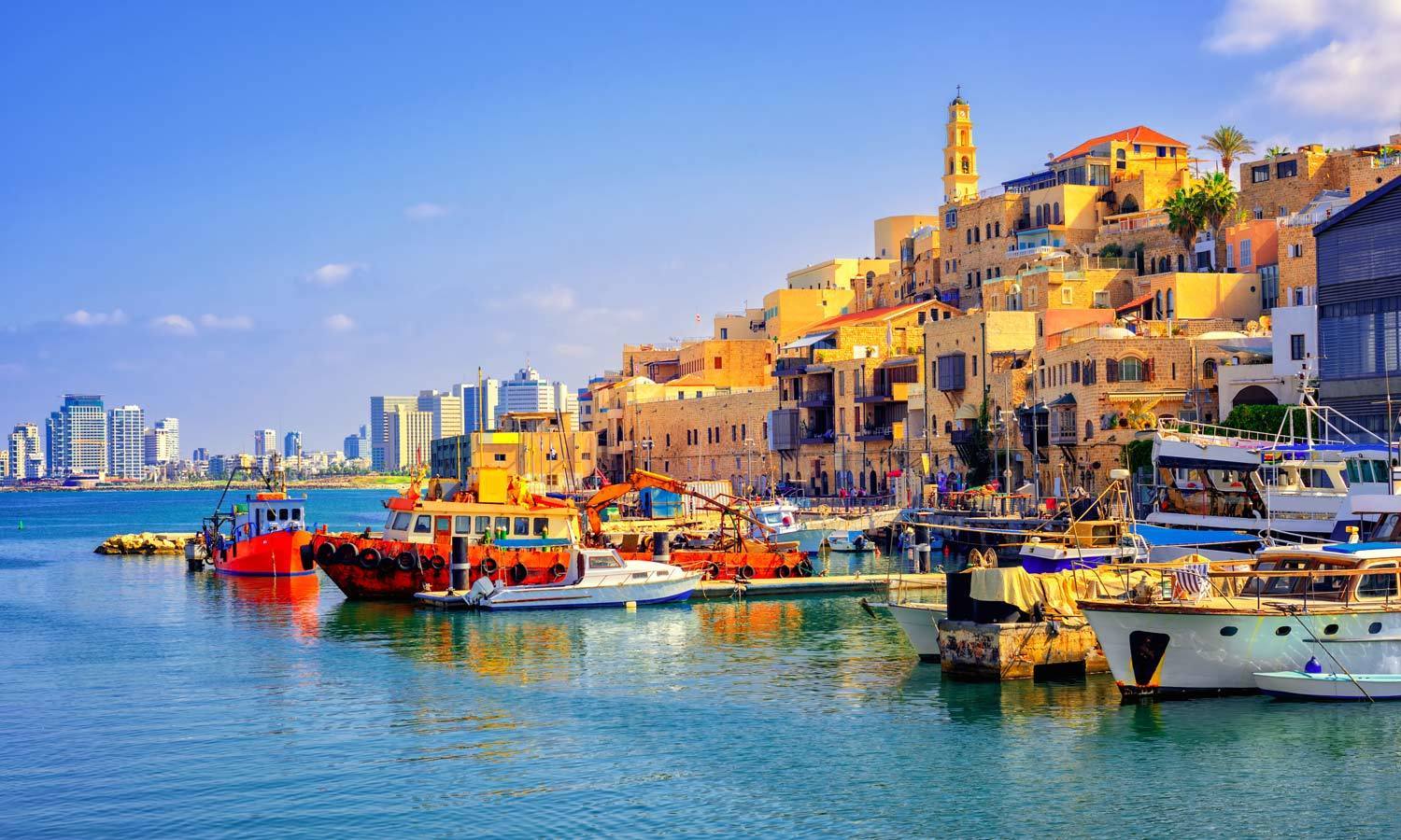 Tlv